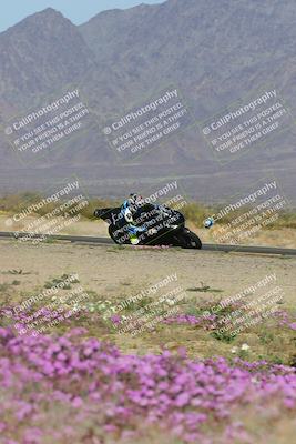 media/Feb-04-2023-SoCal Trackdays (Sat) [[8a776bf2c3]]/Turn 15 Inside Blooming (1050am)/